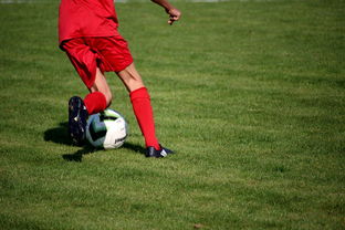 开云体育网页版入口-NBA球队青训体系建设与人才储备，nba青年队