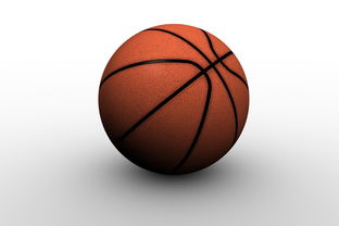 开云娱乐官网-中国篮球职业俱乐部青训人才培养路径探索，篮球青训队招聘条件