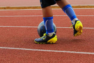 开云体育登入-中国青少年篮球运动员身体机能发展研究，我国篮球青少年运动发展现状