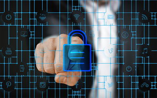 开云体育登陆入口-校园体育安全管理策略研究，校园体育安全管理策略研究报告